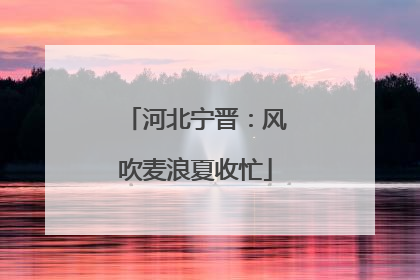 河北宁晋：风吹麦浪夏收忙